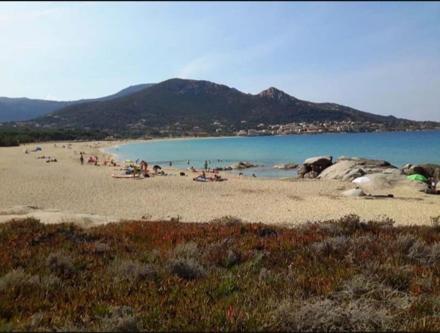 T2 Neuf Climatise Dans Villa A Corbara Eksteriør billede